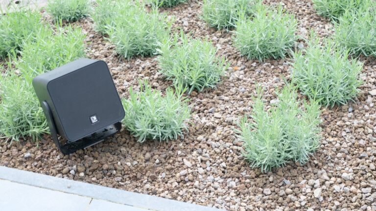 AUDAC VIRO5-buitenluidspreker tussen de lavendel in de tuin te Voorde